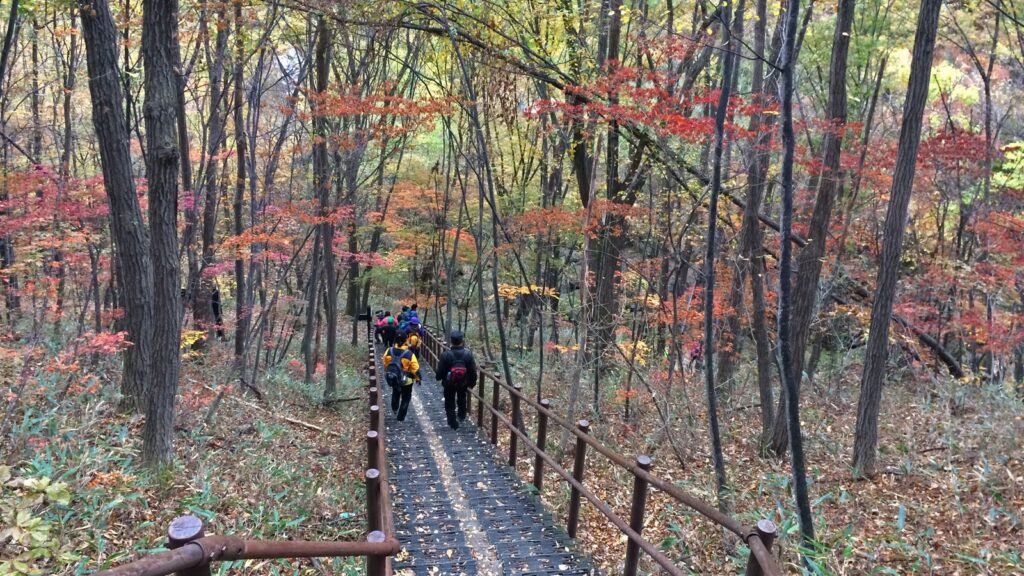 치악산 보문사~향로봉 삼거리 통제…11월 입산 마감은 오후 1시